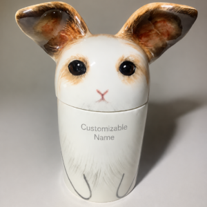 Home rabbit